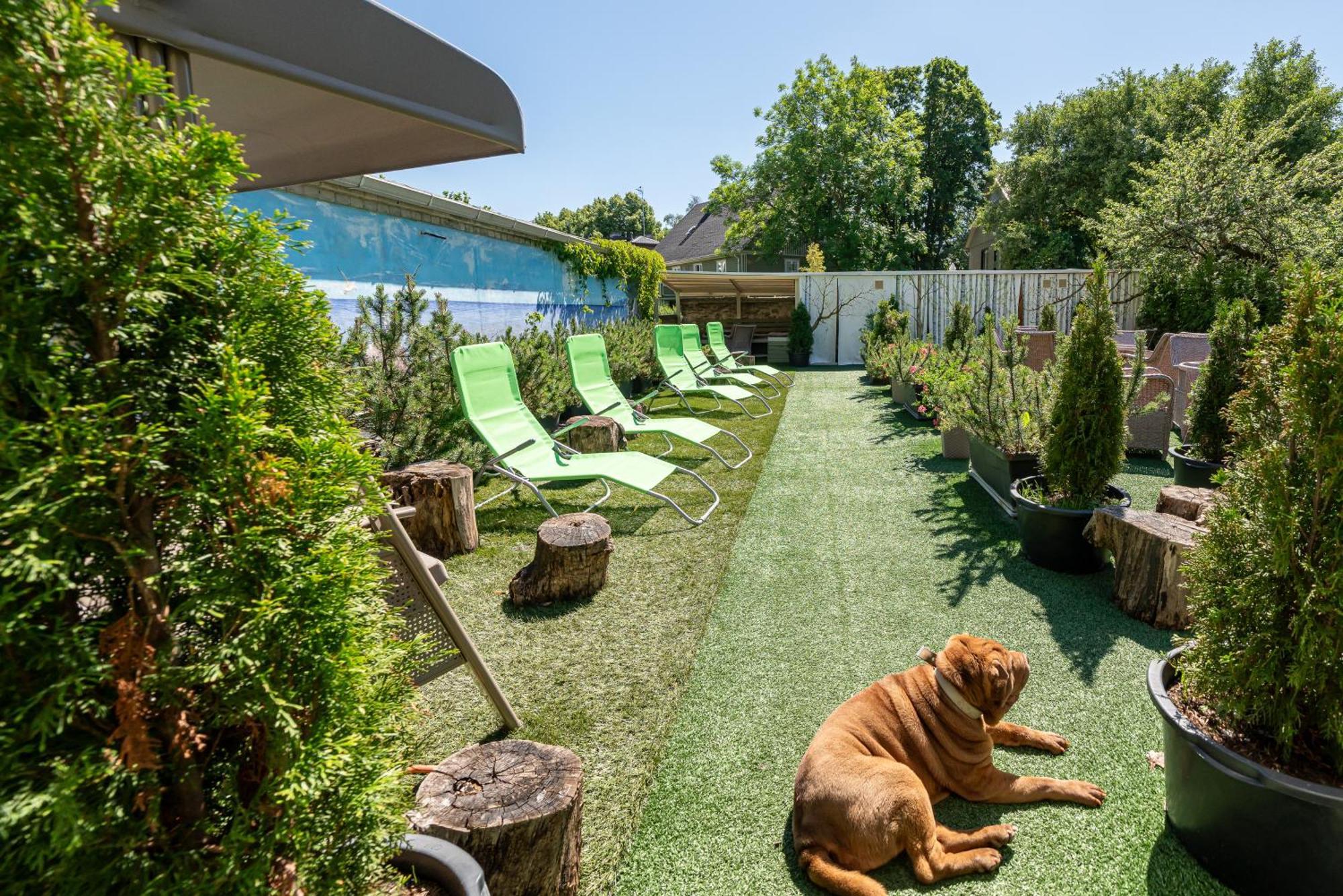 Garden Camping Tallinn Exterior foto