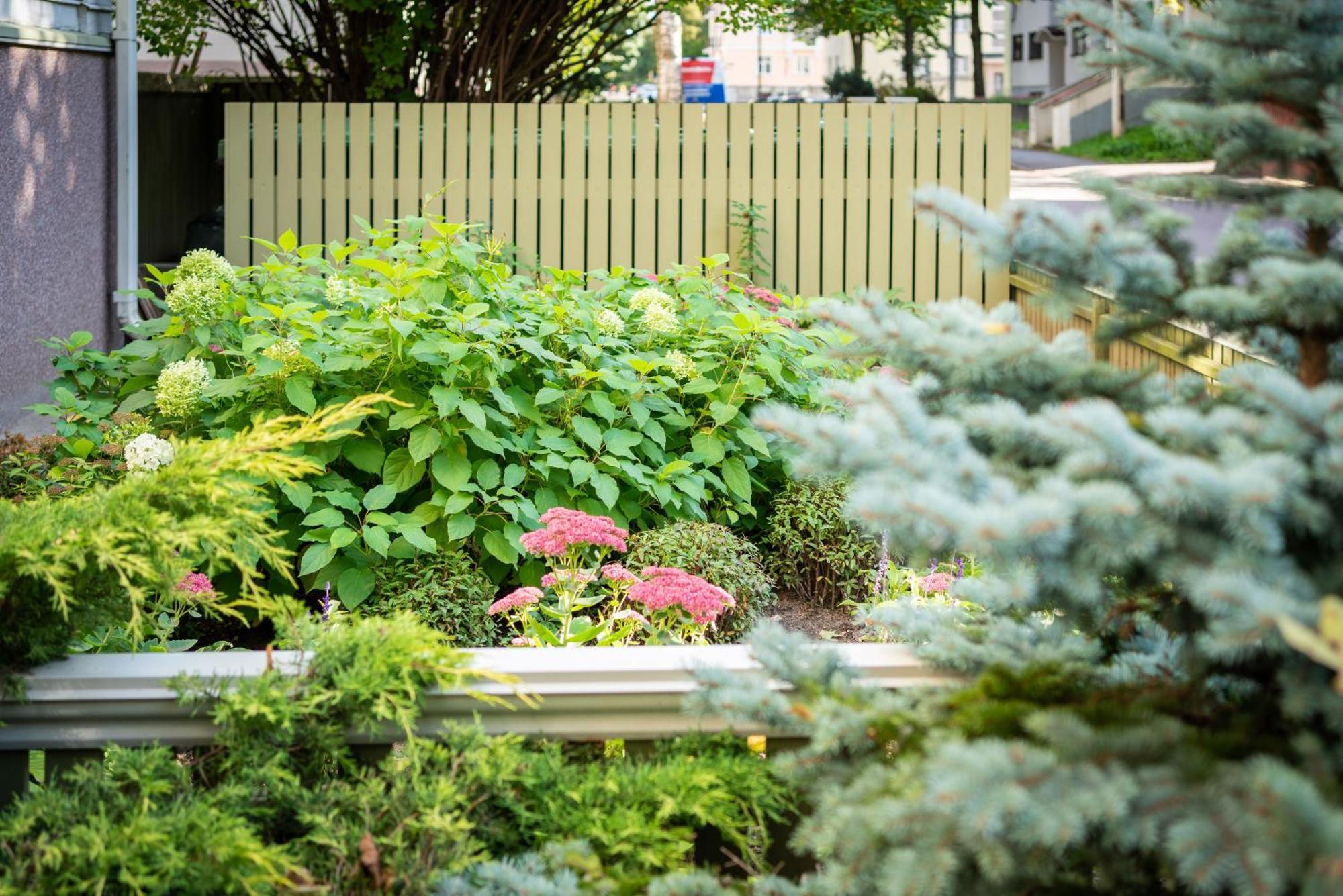 Garden Camping Tallinn Exterior foto