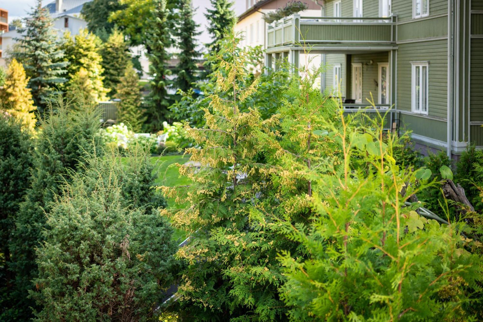 Garden Camping Tallinn Exterior foto