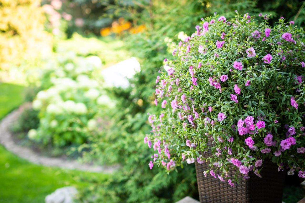 Garden Camping Tallinn Exterior foto